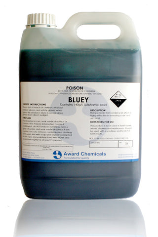 Bluey